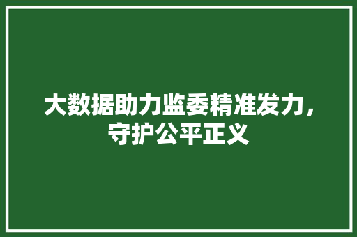 大数据助力监委精准发力，守护公平正义