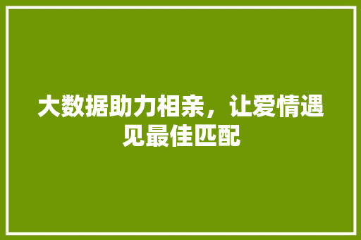 大数据助力相亲，让爱情遇见最佳匹配  第1张