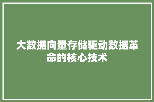 大数据向量存储驱动数据革命的核心技术
