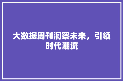 大数据周刊洞察未来，引领时代潮流