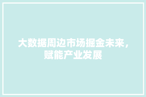大数据周边市场掘金未来，赋能产业发展