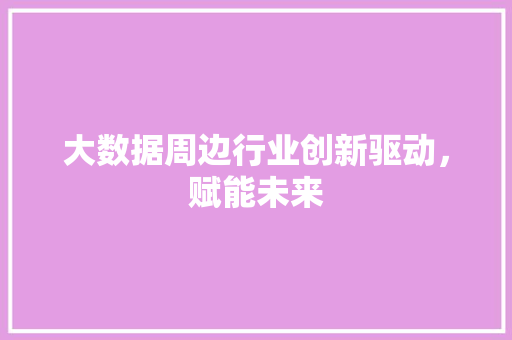 大数据周边行业创新驱动，赋能未来
