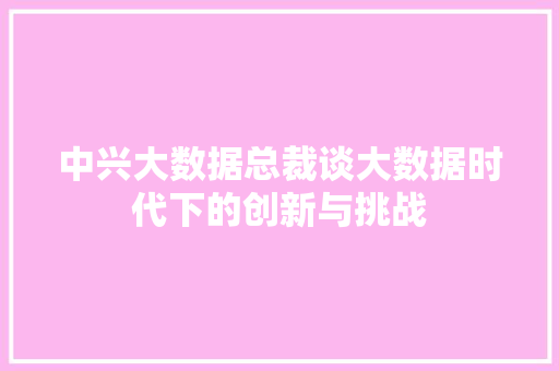 中兴大数据总裁谈大数据时代下的创新与挑战
