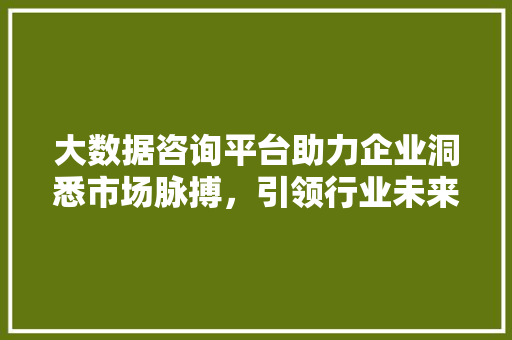 大数据咨询平台助力企业洞悉市场脉搏，引领行业未来