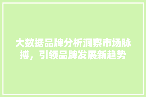 大数据品牌分析洞察市场脉搏，引领品牌发展新趋势  第1张