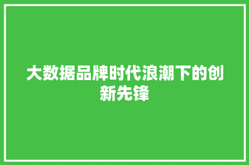 大数据品牌时代浪潮下的创新先锋