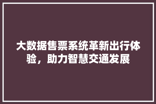 大数据售票系统革新出行体验，助力智慧交通发展