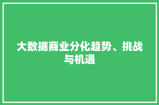 大数据商业分化趋势、挑战与机遇