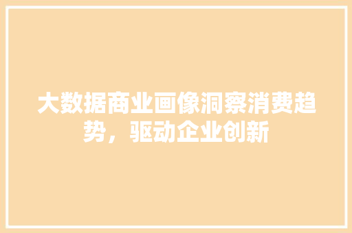 大数据商业画像洞察消费趋势，驱动企业创新