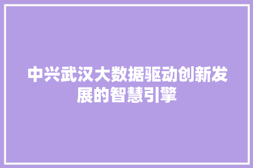 中兴武汉大数据驱动创新发展的智慧引擎