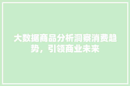 大数据商品分析洞察消费趋势，引领商业未来  第1张