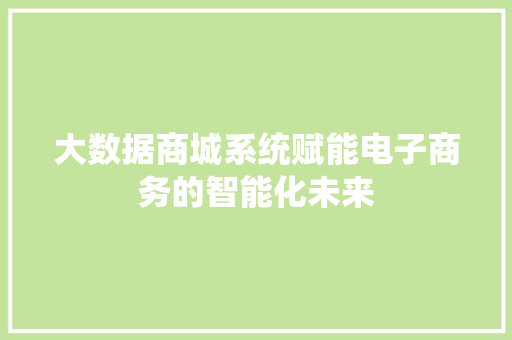 大数据商城系统赋能电子商务的智能化未来