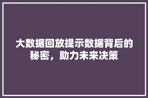 大数据回放提示数据背后的秘密，助力未来决策