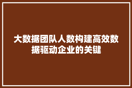 大数据团队人数构建高效数据驱动企业的关键  第1张