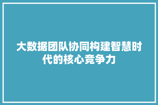 大数据团队协同构建智慧时代的核心竞争力