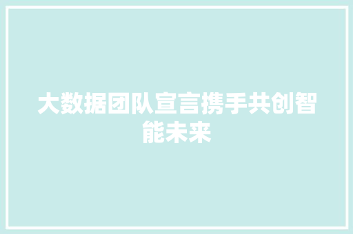 大数据团队宣言携手共创智能未来  第1张