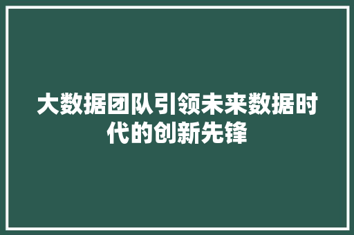 大数据团队引领未来数据时代的创新先锋  第1张