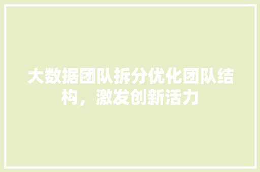 大数据团队拆分优化团队结构，激发创新活力