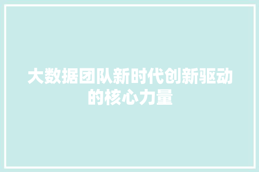 大数据团队新时代创新驱动的核心力量  第1张