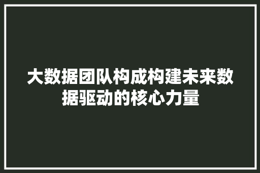 大数据团队构成构建未来数据驱动的核心力量  第1张