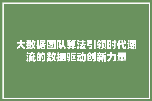 大数据团队算法引领时代潮流的数据驱动创新力量