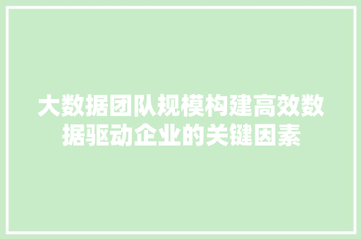 大数据团队规模构建高效数据驱动企业的关键因素