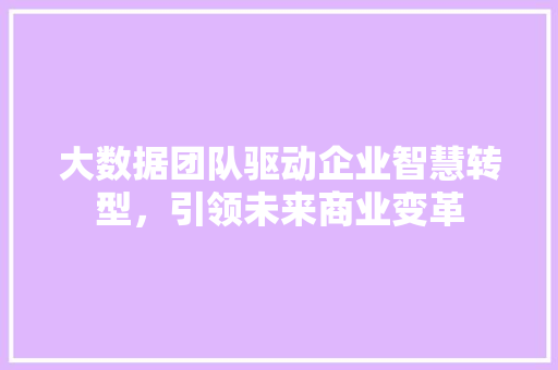 大数据团队驱动企业智慧转型，引领未来商业变革