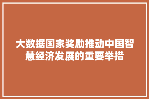 大数据国家奖励推动中国智慧经济发展的重要举措