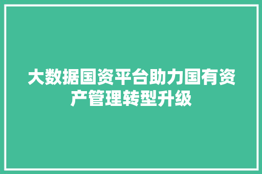 大数据国资平台助力国有资产管理转型升级