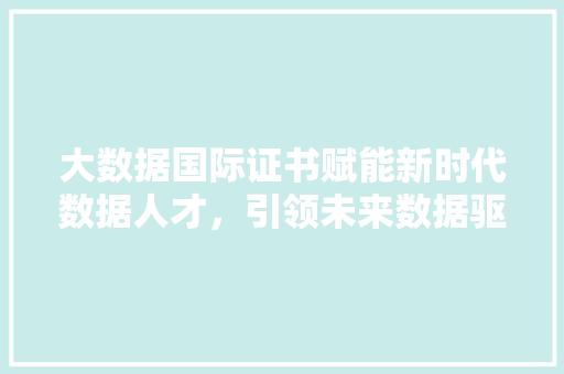 大数据国际证书赋能新时代数据人才，引领未来数据驱动发展