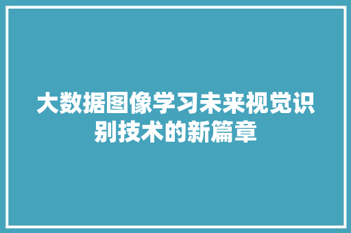 大数据图像学习未来视觉识别技术的新篇章