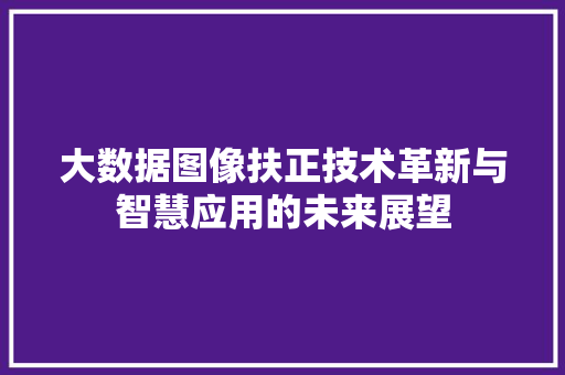 大数据图像扶正技术革新与智慧应用的未来展望