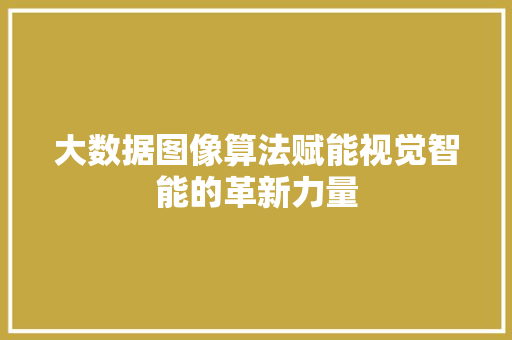 大数据图像算法赋能视觉智能的革新力量  第1张