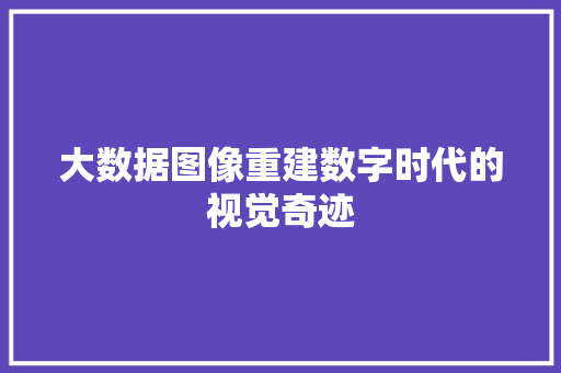 大数据图像重建数字时代的视觉奇迹