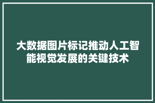 大数据图片标记推动人工智能视觉发展的关键技术