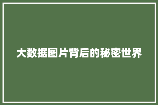 大数据图片背后的秘密世界