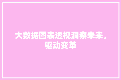 大数据图表透视洞察未来，驱动变革  第1张