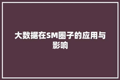 大数据在SM圈子的应用与影响  第1张