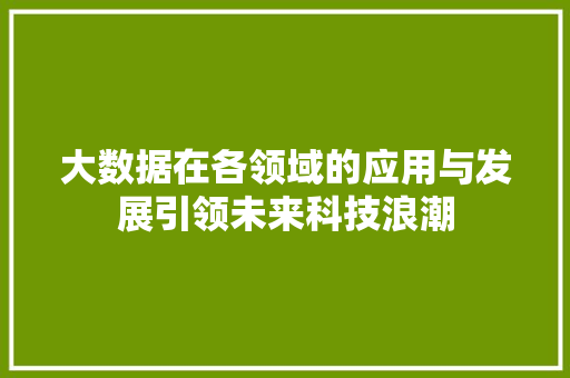 大数据在各领域的应用与发展引领未来科技浪潮