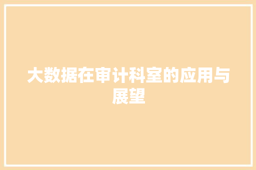 大数据在审计科室的应用与展望