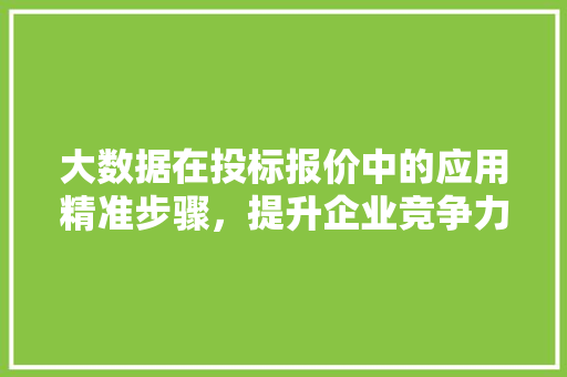 大数据在投标报价中的应用精准步骤，提升企业竞争力
