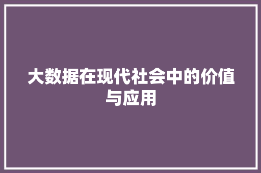大数据在现代社会中的价值与应用