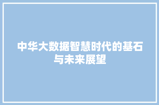 中华大数据智慧时代的基石与未来展望