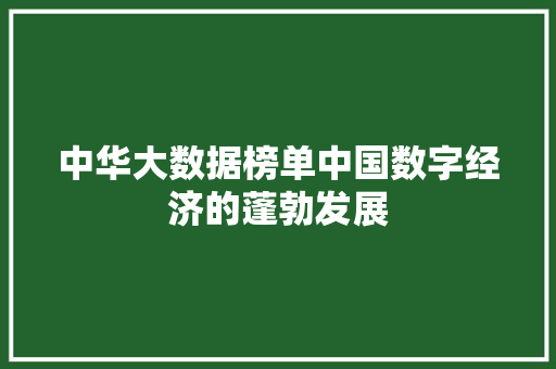 中华大数据榜单中国数字经济的蓬勃发展
