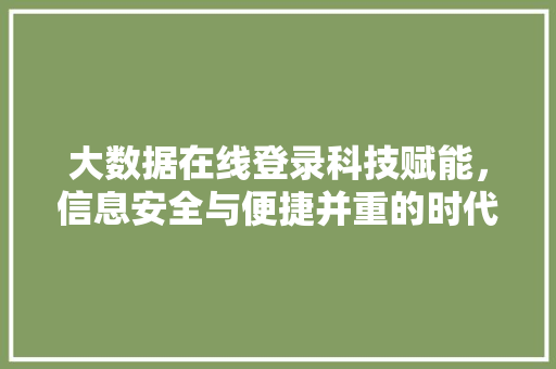 大数据在线登录科技赋能，信息安全与便捷并重的时代选择  第1张
