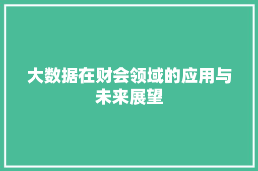 大数据在财会领域的应用与未来展望