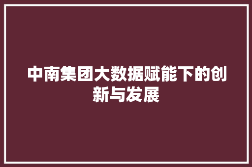 中南集团大数据赋能下的创新与发展  第1张