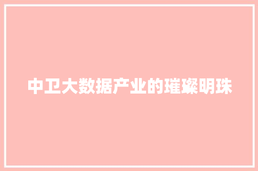 中卫大数据产业的璀璨明珠  第1张