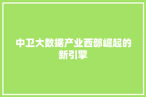 中卫大数据产业西部崛起的新引擎