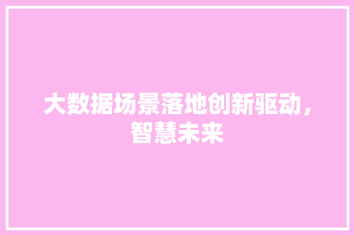 大数据场景落地创新驱动，智慧未来  第1张